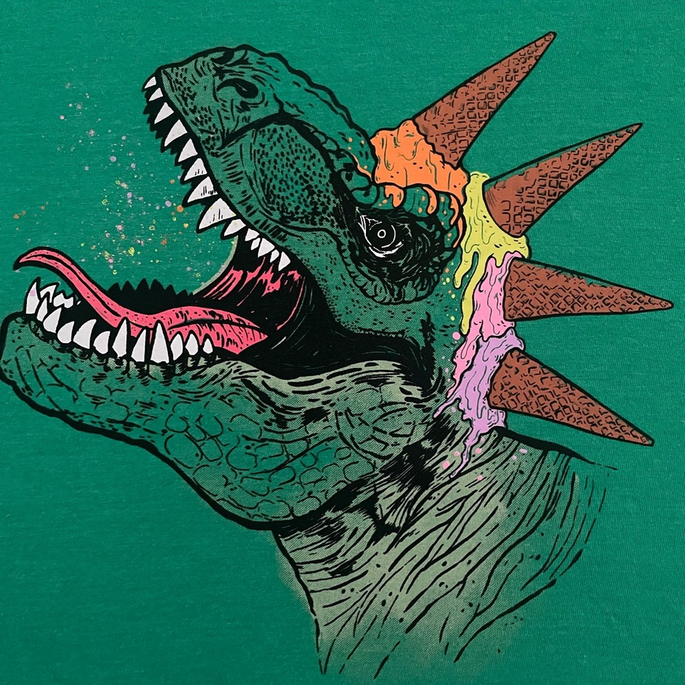 Cat & Jack dino shirt sleeve tee